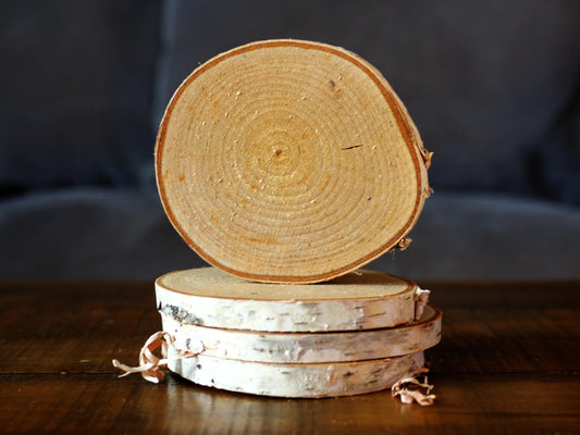 Birch Coasters - Oven Dried - White Birch from Minnesota - Set of 4