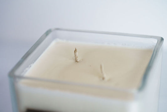 Birch Bay Breeze - 100% Soy Wax Candle - 17 oz