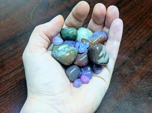 Free Rock Chip Repair