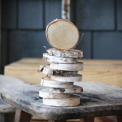 Birch Log Slices - Set of 10 or 20 - Oven Dried