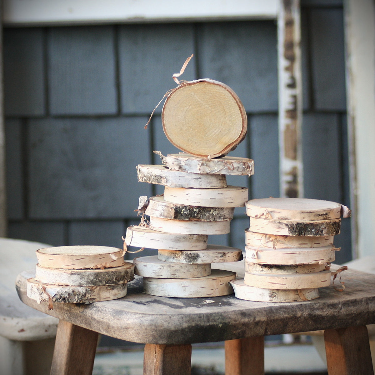 Birch Log Slices - Set of 10 or 20 - Oven Dried