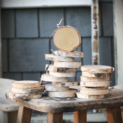 Birch Log Slices - Set of 10 or 20 - Oven Dried