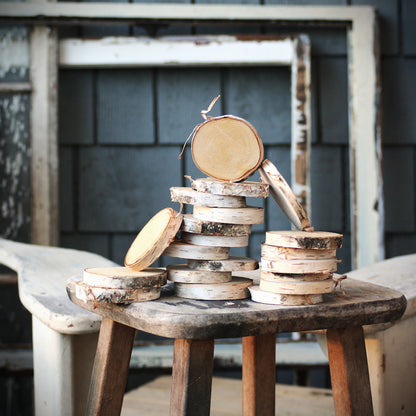 Birch Log Slices - Set of 10 or 20 - Oven Dried