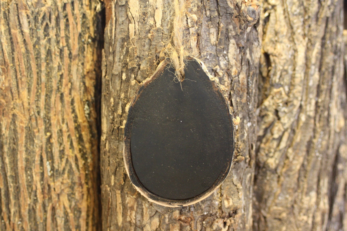 Close-up of a black chalkboard ornament on a tree trunk