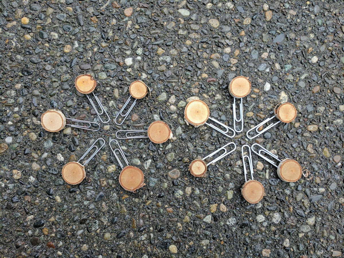 Wood Slice Paper Clips - Set of 6
