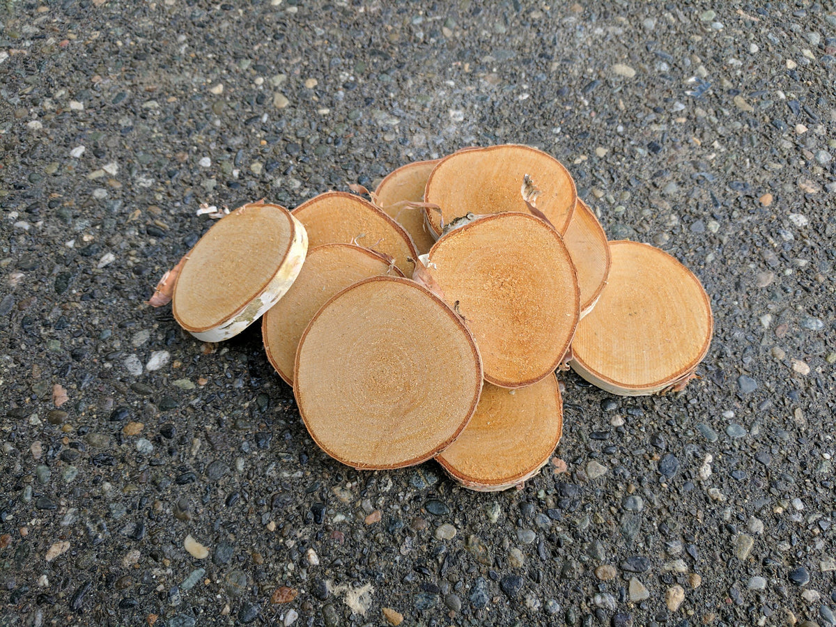 Birch Log Slices - Set of 10 or 20 - Oven Dried
