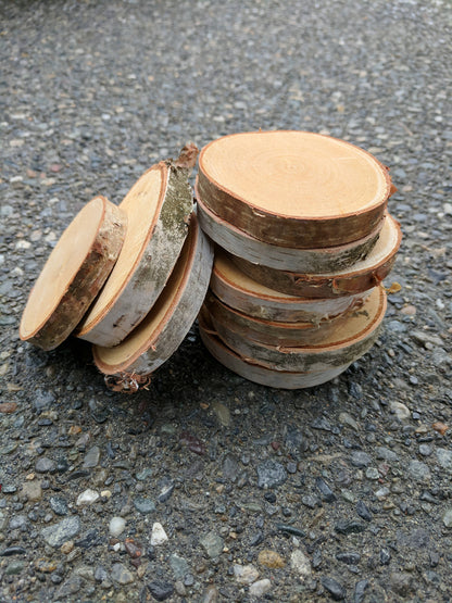 Birch Log Slices - Set of 10 or 20 - Oven Dried
