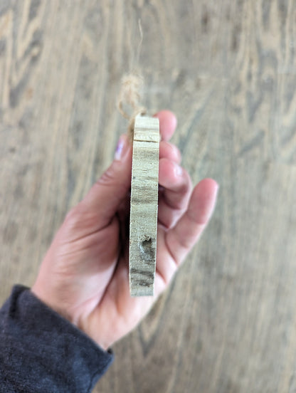 Sea Shell Driftwood Ornament